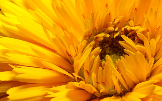 478542 (a): :1920x1200